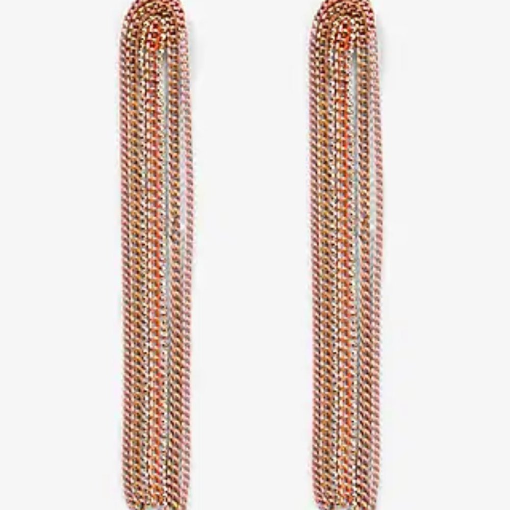 NWT Express Multicolor Chain Link Drop Earrings